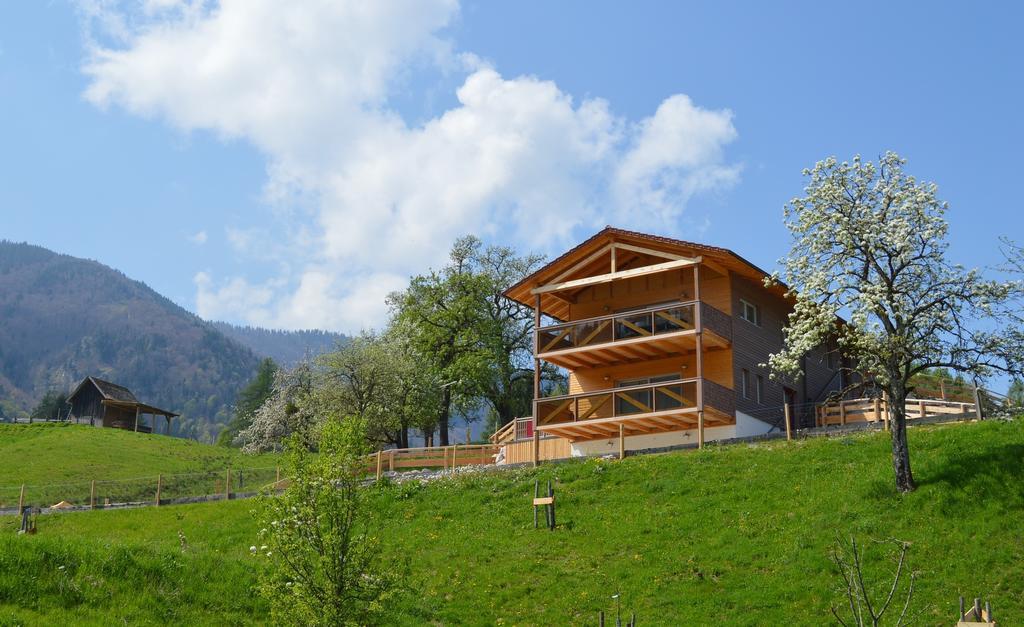 Ferienhaus Schwarzenbach Steinbach am Ziehberg エクステリア 写真